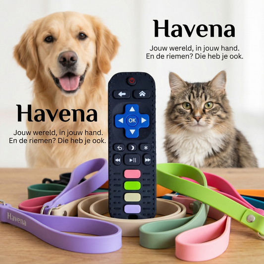 PFAS-vrij Speelgoed Afstandsbediening