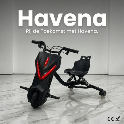 Elektrische Drift Trike Kart 250W 36V 2026 – Zwart met Achtervering