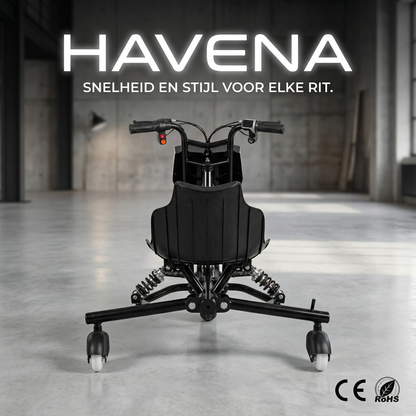 Elektrische Drift Trike Kart 250W 36V 2026 – Zwart met Achtervering