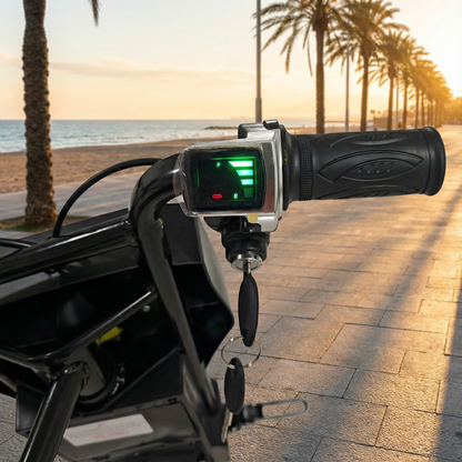 Elektrische Drift Trike Kart 250W 36V 2026 – Zwart met Achtervering