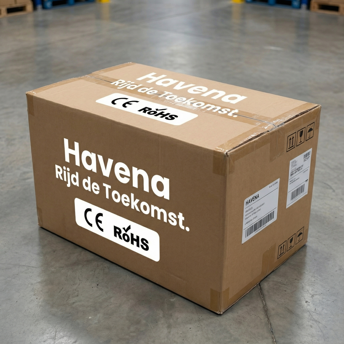 Elektrische Drift Trike Kart 250W 36V 2026 – Zwart met Achtervering