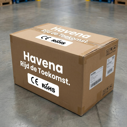 Elektrische Drift Trike Kart 250W 36V 2026 – Zwart met Achtervering